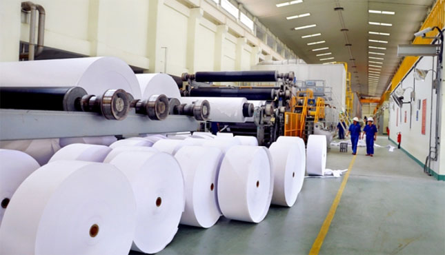 Giấy sơ đồ ngành dệt may Việt Nam